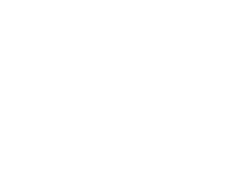 Vector